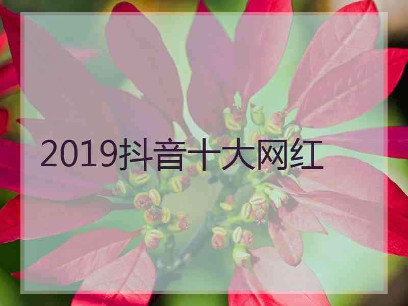 2019抖音十大网红