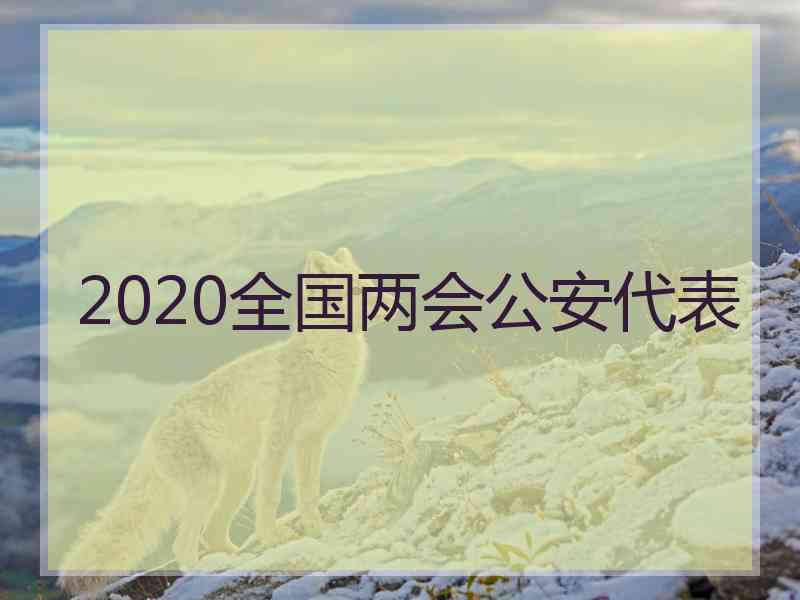 2020全国两会公安代表