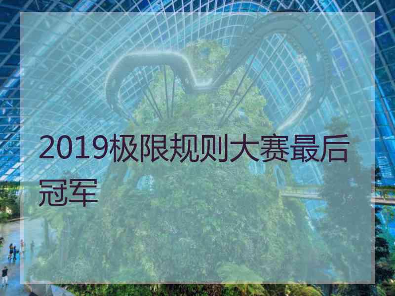 2019极限规则大赛最后冠军