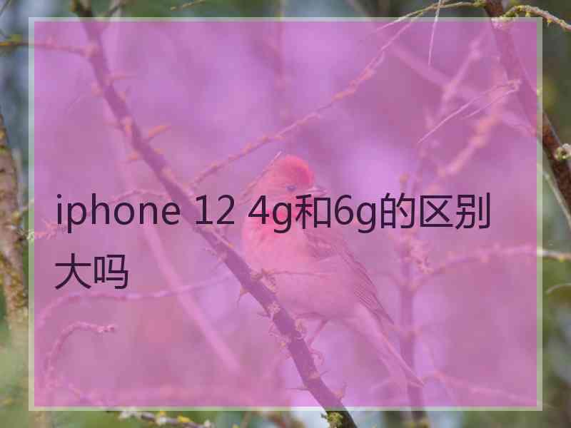 iphone 12 4g和6g的区别大吗