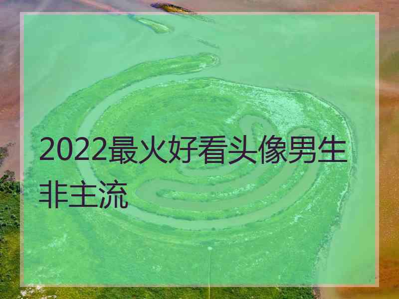 2022最火好看头像男生非主流