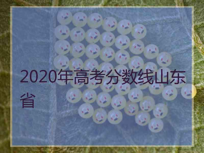 2020年高考分数线山东省