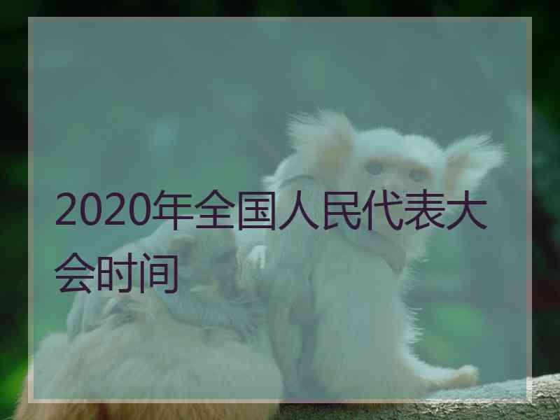 2020年全国人民代表大会时间