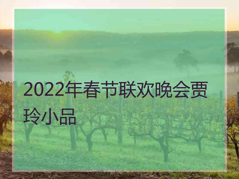 2022年春节联欢晚会贾玲小品