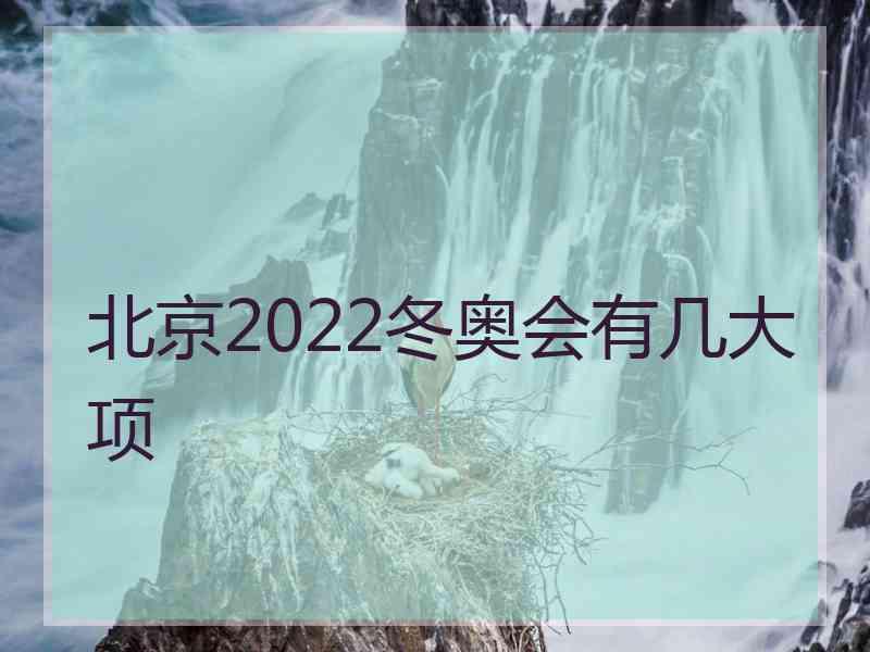 北京2022冬奥会有几大项