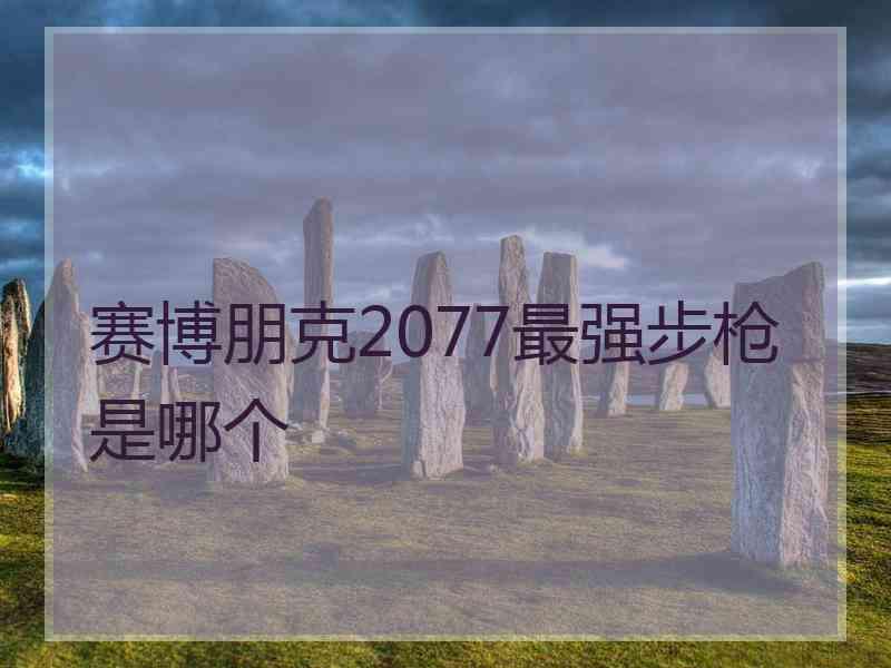 赛博朋克2077最强步枪是哪个