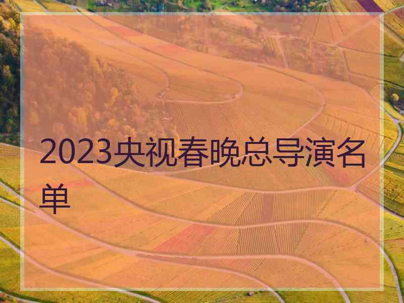 2023央视春晚总导演名单