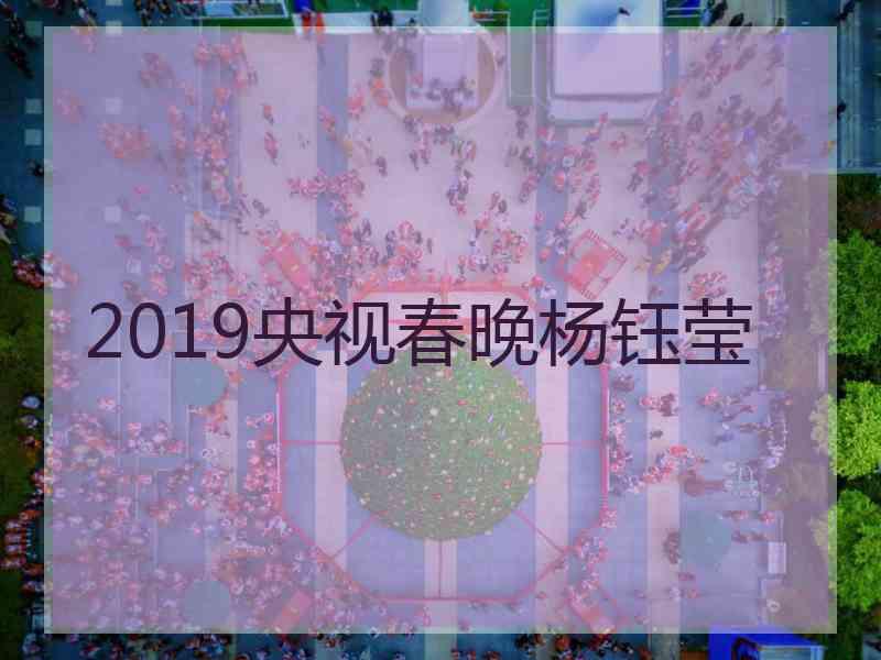 2019央视春晚杨钰莹