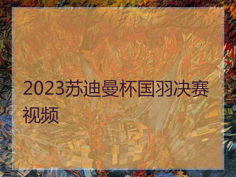 2023苏迪曼杯国羽决赛视频