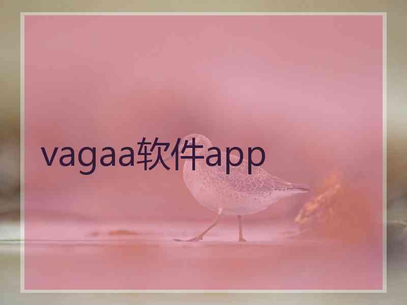 vagaa软件app