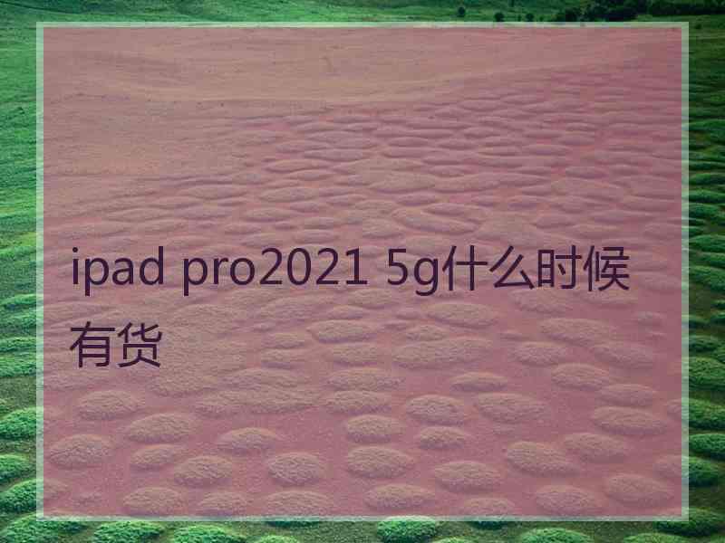 ipad pro2021 5g什么时候有货