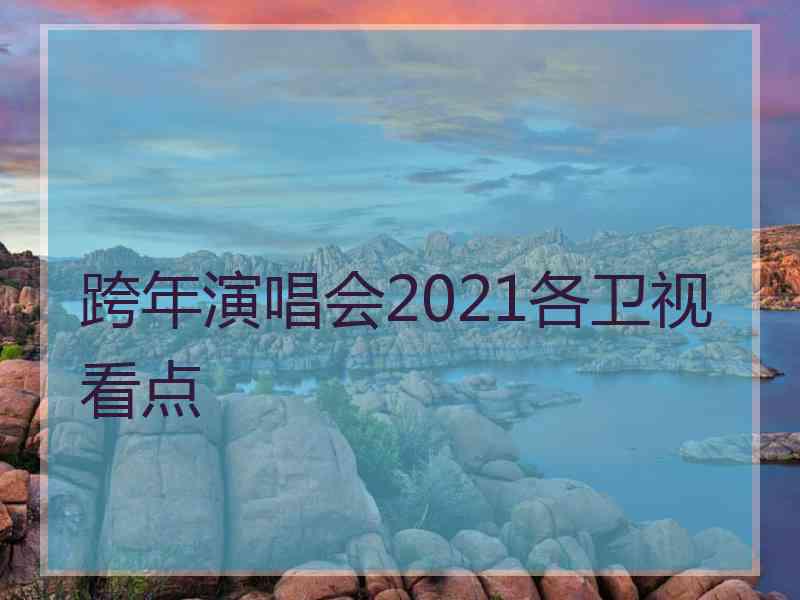 跨年演唱会2021各卫视看点