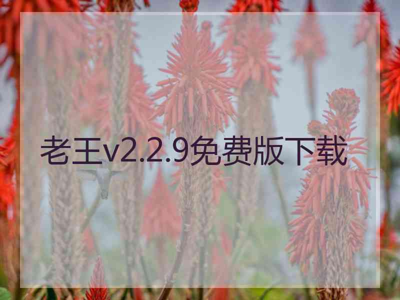 老王v2.2.9免费版下载