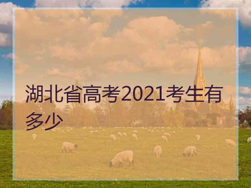 湖北省高考2021考生有多少