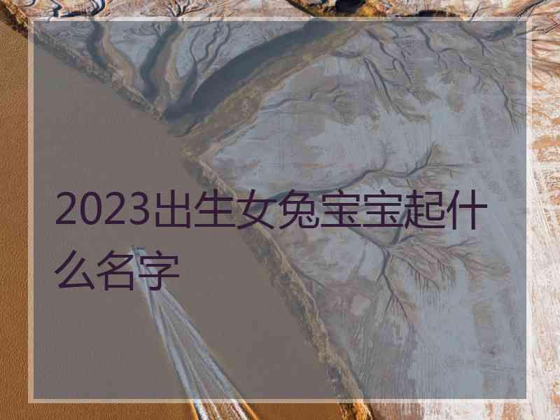 2023出生女兔宝宝起什么名字