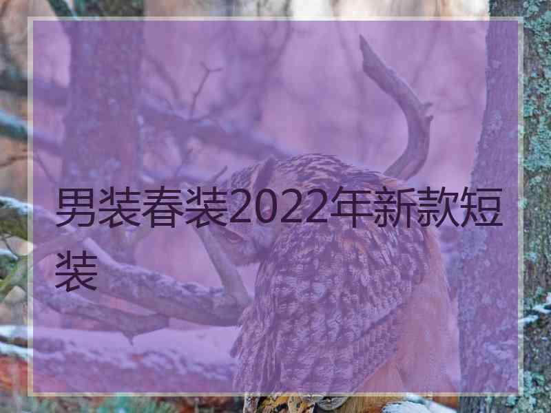 男装春装2022年新款短装