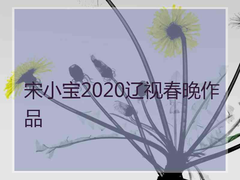 宋小宝2020辽视春晚作品