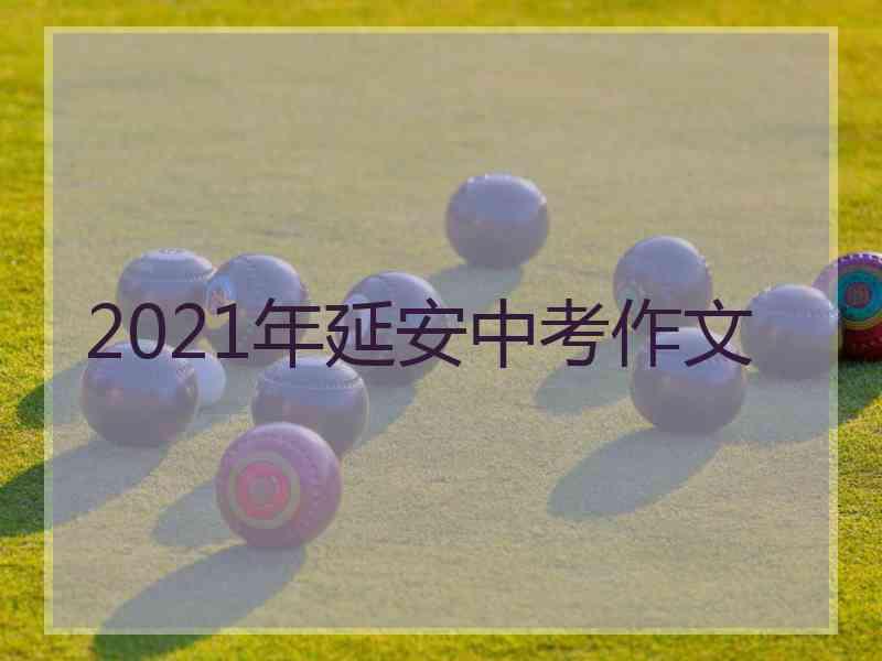 2021年延安中考作文