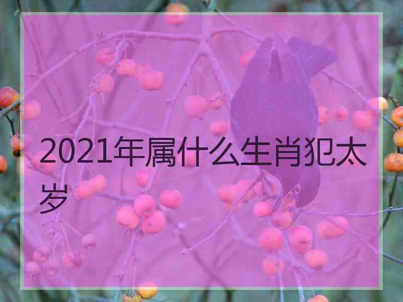 2021年属什么生肖犯太岁