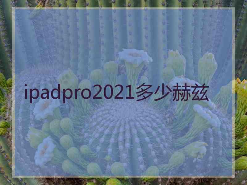 ipadpro2021多少赫兹