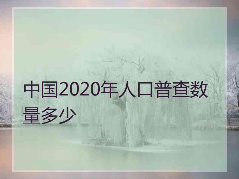 中国2020年人口普查数量多少