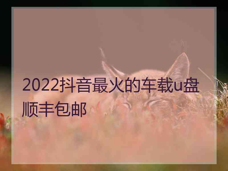 2022抖音最火的车载u盘顺丰包邮