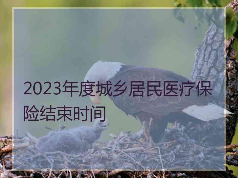 2023年度城乡居民医疗保险结束时间