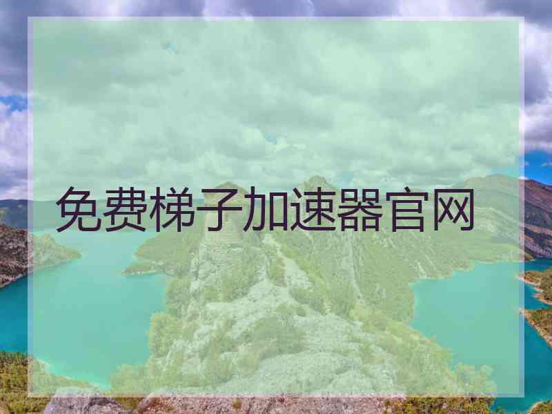 免费梯子加速器官网