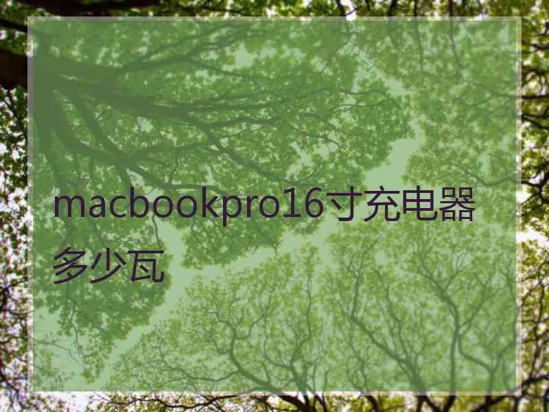 macbookpro16寸充电器多少瓦