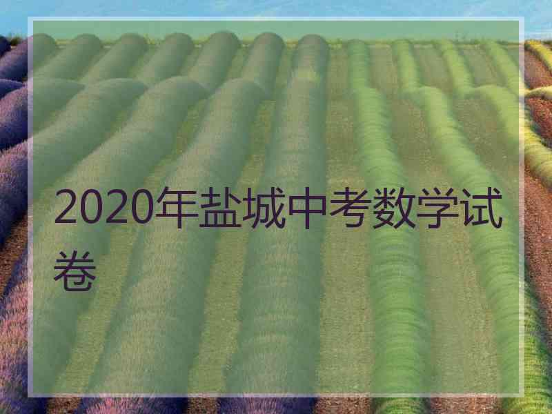 2020年盐城中考数学试卷