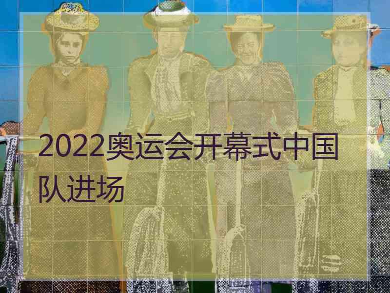 2022奥运会开幕式中国队进场