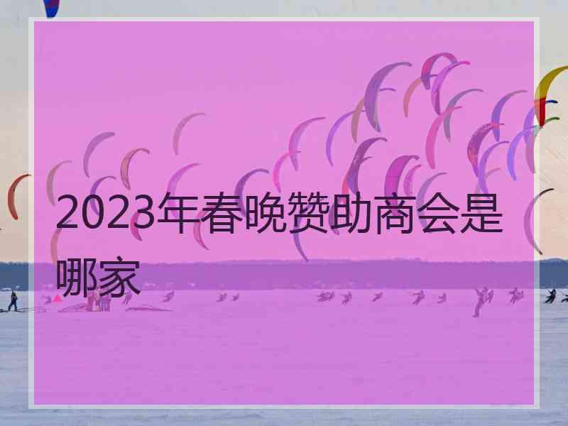 2023年春晚赞助商会是哪家