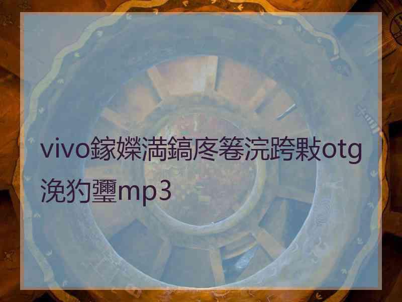 vivo鎵嬫満鎬庝箞浣跨敤otg浼犳瓕mp3