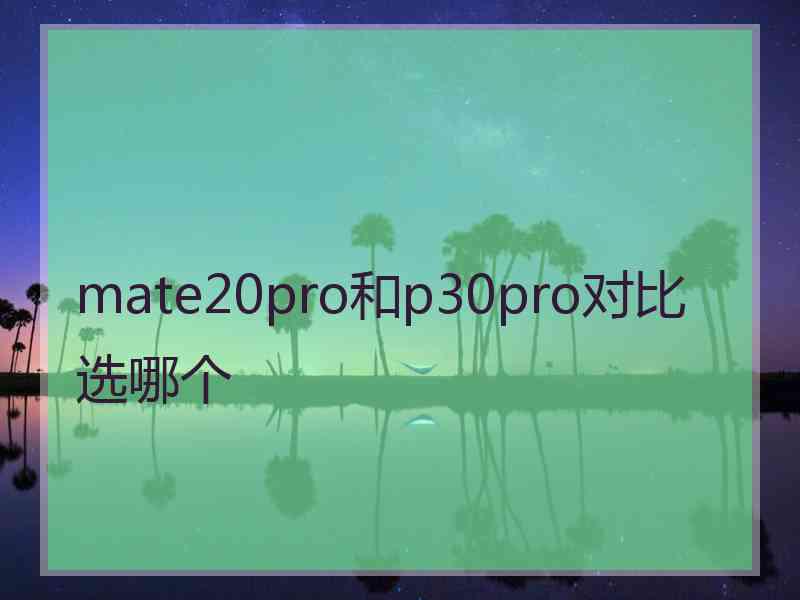 mate20pro和p30pro对比选哪个