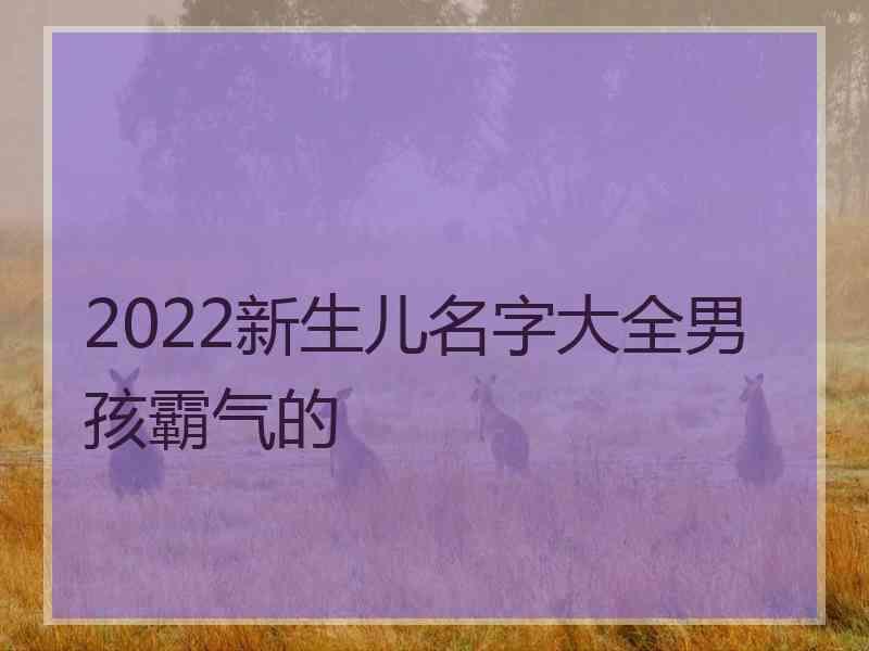 2022新生儿名字大全男孩霸气的