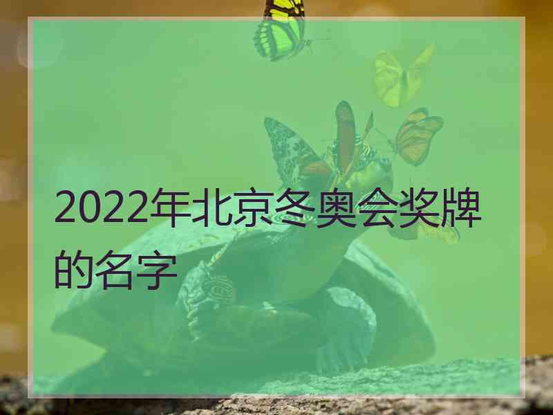 2022年北京冬奥会奖牌的名字