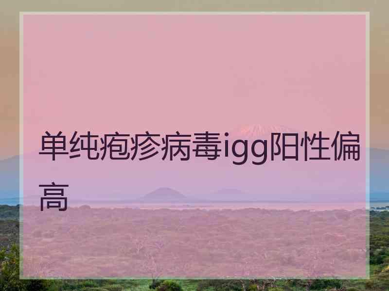 单纯疱疹病毒igg阳性偏高