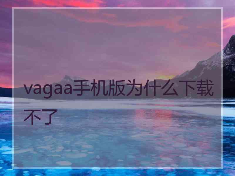 vagaa手机版为什么下载不了