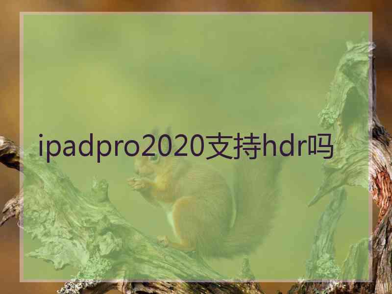 ipadpro2020支持hdr吗