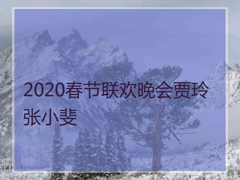 2020春节联欢晚会贾玲张小斐