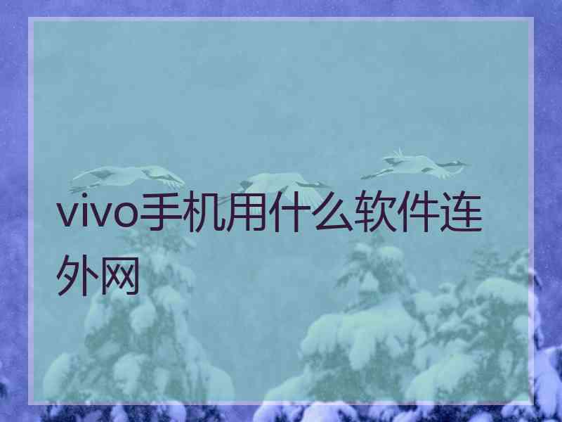 vivo手机用什么软件连外网