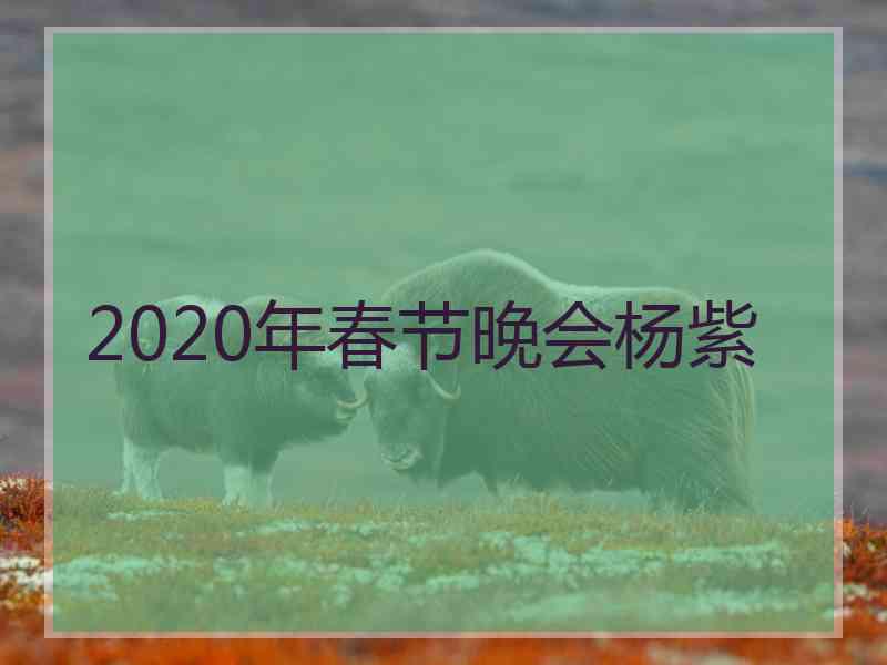 2020年春节晚会杨紫