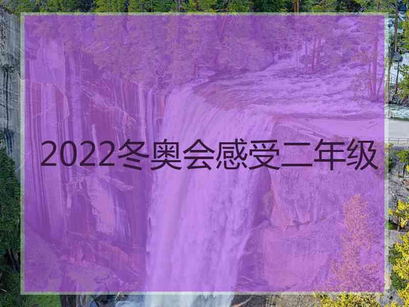 2022冬奥会感受二年级