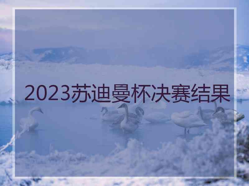 2023苏迪曼杯决赛结果