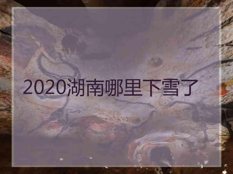 2020湖南哪里下雪了