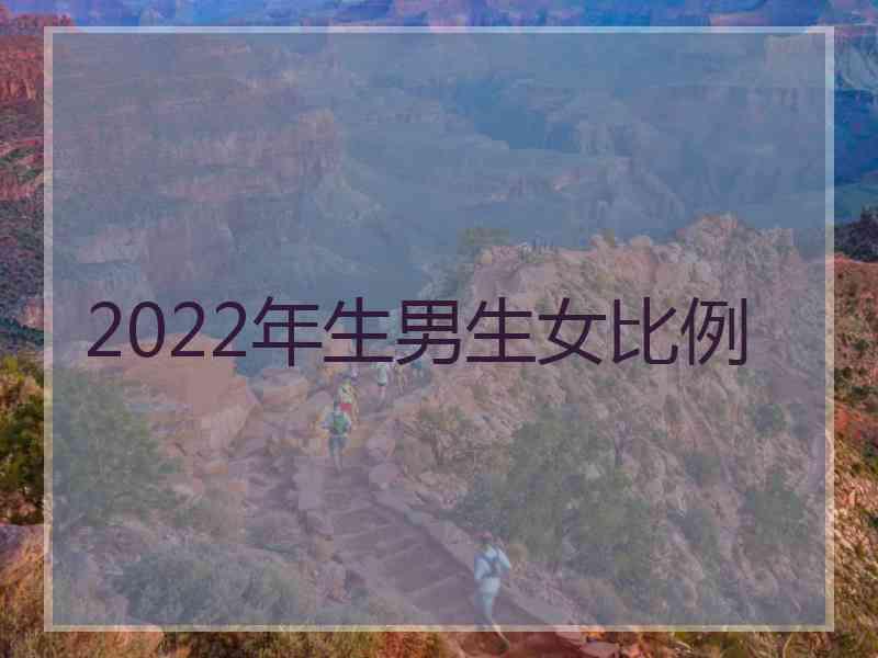 2022年生男生女比例