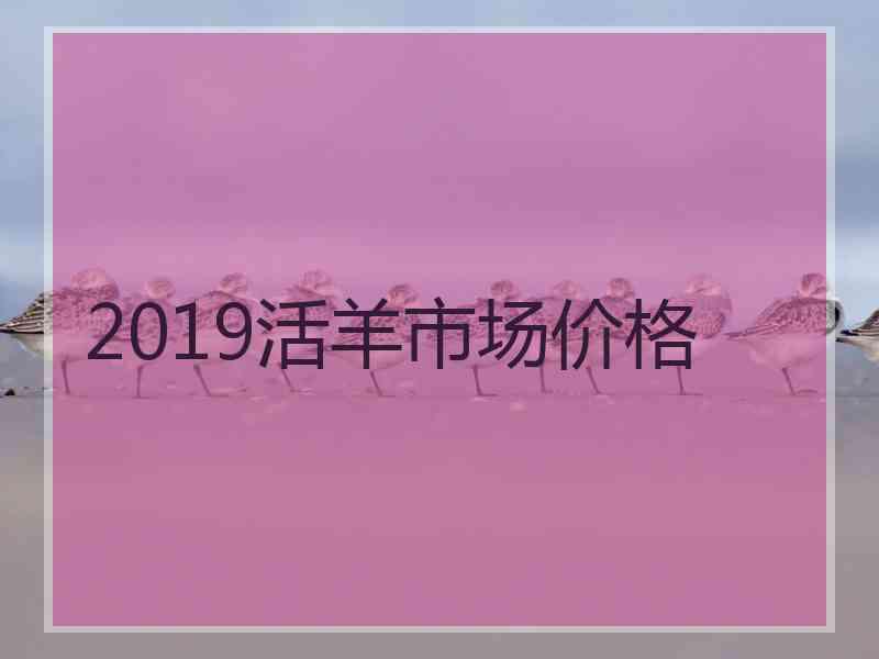 2019活羊市场价格