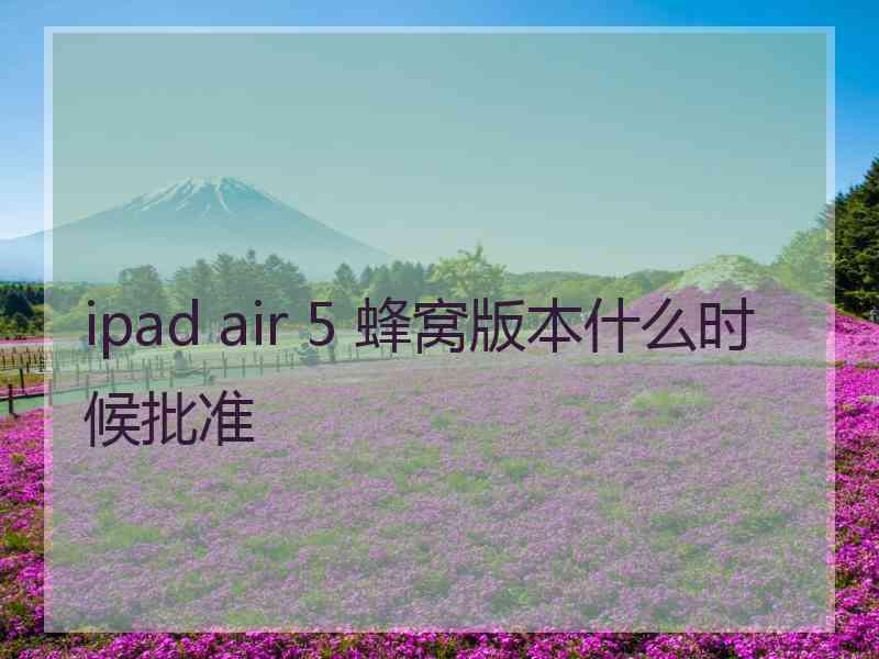 ipad air 5 蜂窝版本什么时候批准