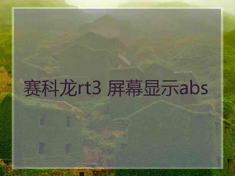 赛科龙rt3 屏幕显示abs