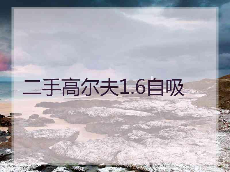 二手高尔夫1.6自吸